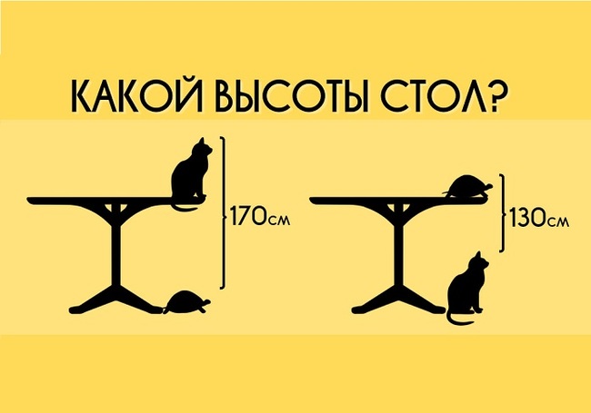 Загадка о черепахе