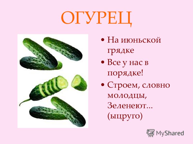Загадки про огурец