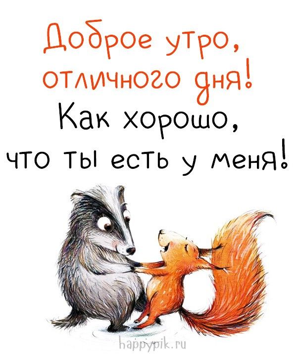 Картинки с пожеланиями доброго утра для любимой девушки очень прикольные и позитивные