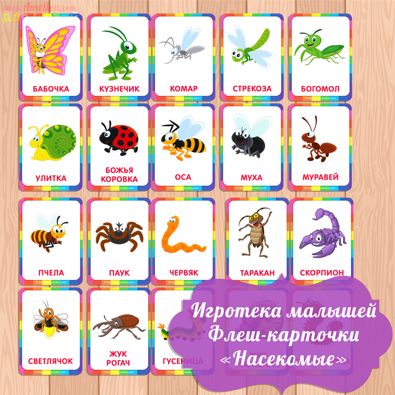 Насекомые картинки для детей: 20+ карточек с изображениями насекомых
