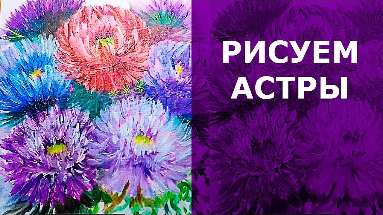 Как нарисовать астру карандашом поэтапно