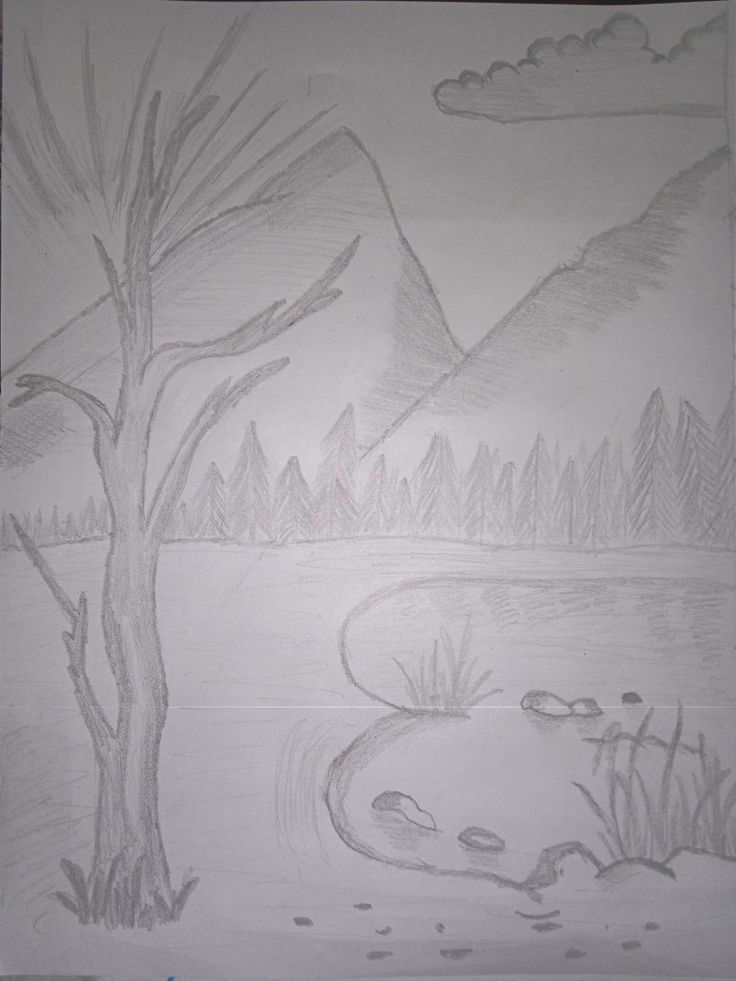 Рисунки природы для срисовки
