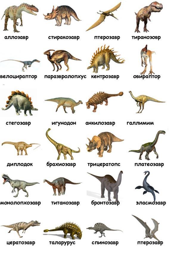 Динозавры
