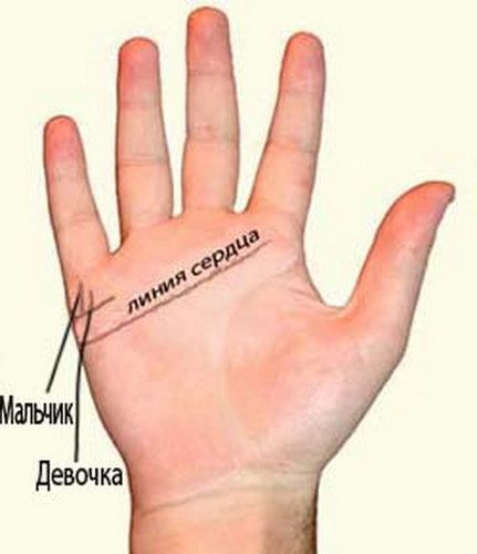 Линия детей на руке и сколько их будет