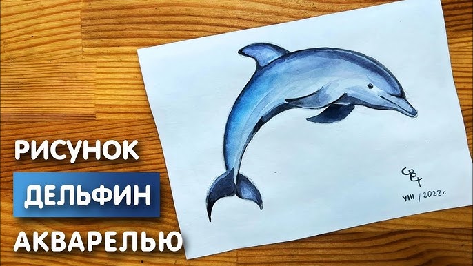 Как легко и красиво нарисовать дельфина поэтапно карандашом для начинающих