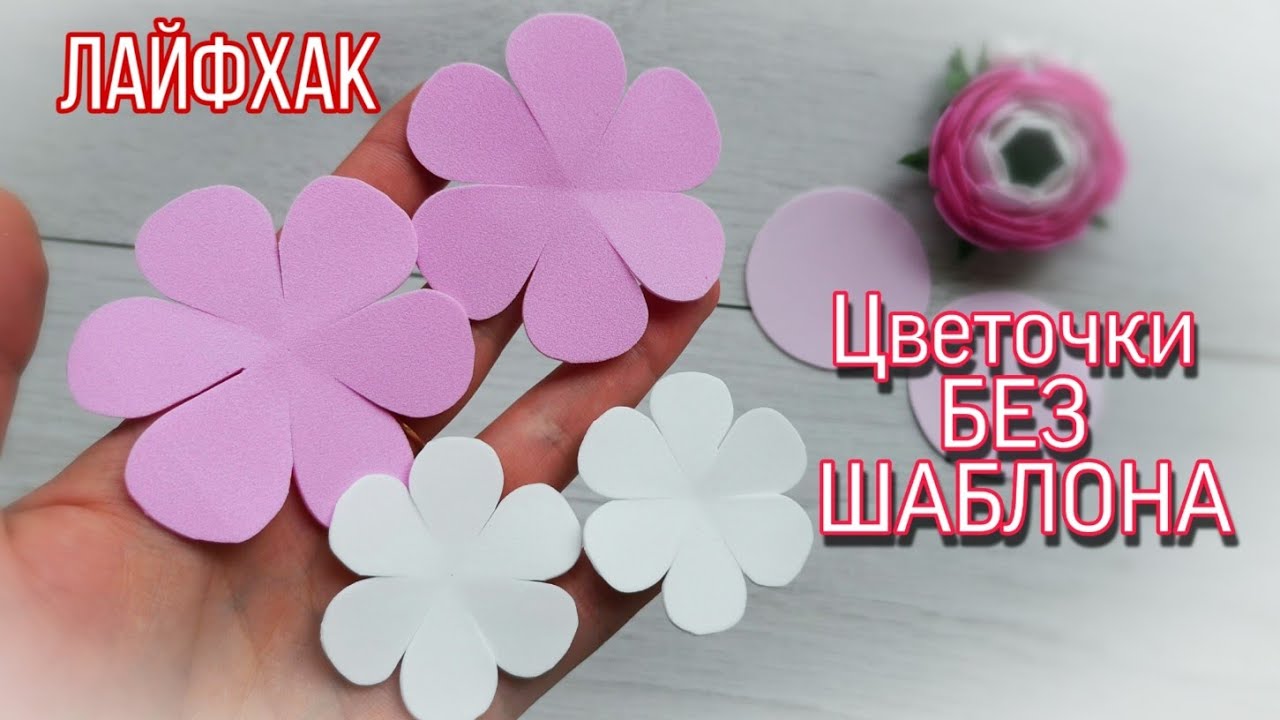 Шаблон цветка пятилистника для вырезания