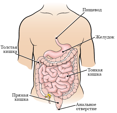 Как нарисовать солнечную систему: 14 шагов (с картинками)