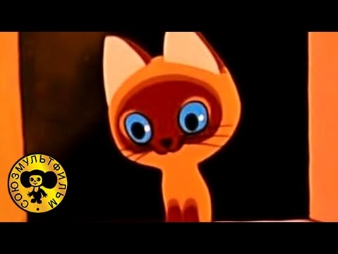 Котенок по имени гав