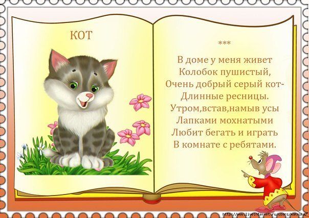 Загадки про кошек и котов