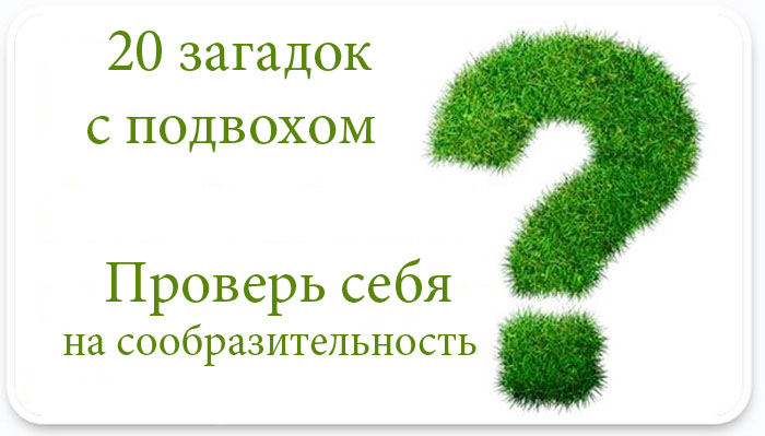 Загадки на логику с ответами: топ 200 (+ с подвохом)