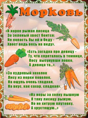 Загадки про лису, хитрую плутовку