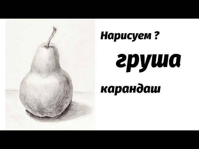Как правильно нарисовать грушу карандашом