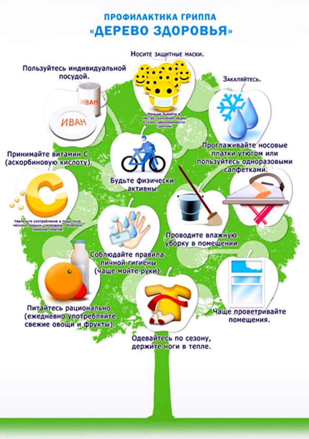 Основы здорового образа жизни для детей