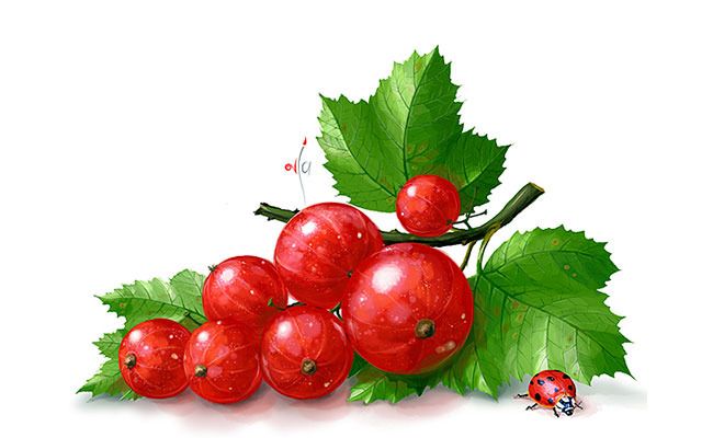 Как нарисовать клубнику карандашом и красками поэтапно