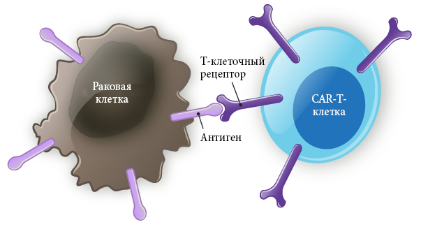 Графические рисунки по клеточкам: образцы графических рисунков. простые схемы создания рисунков по клеточкам для детей с фото-обзорах