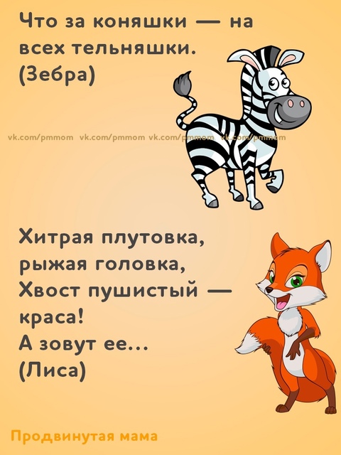 Что за коняшки