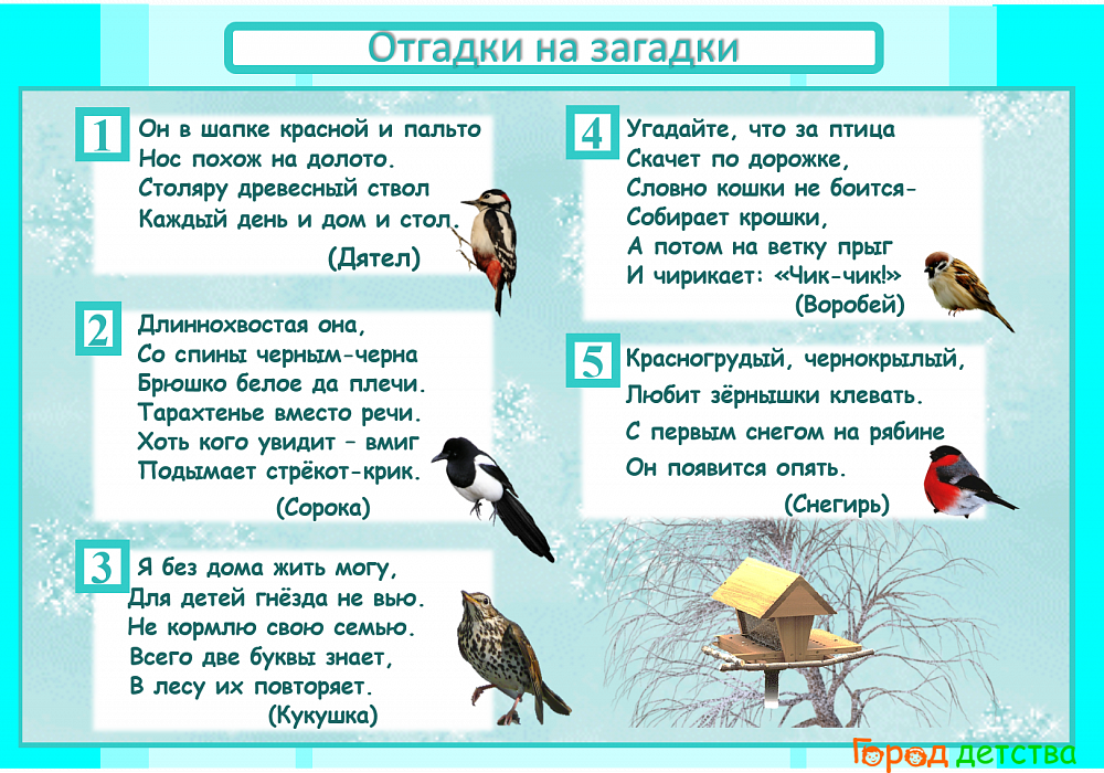 Загадки про птиц с ответами