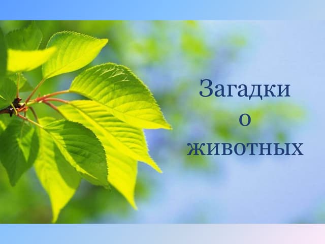 Это что за великан держит в хоботе фонтан? загадки про слона для детей