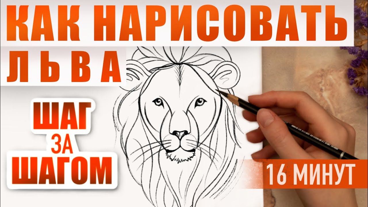 Как нарисовать льва карандашом поэтапно