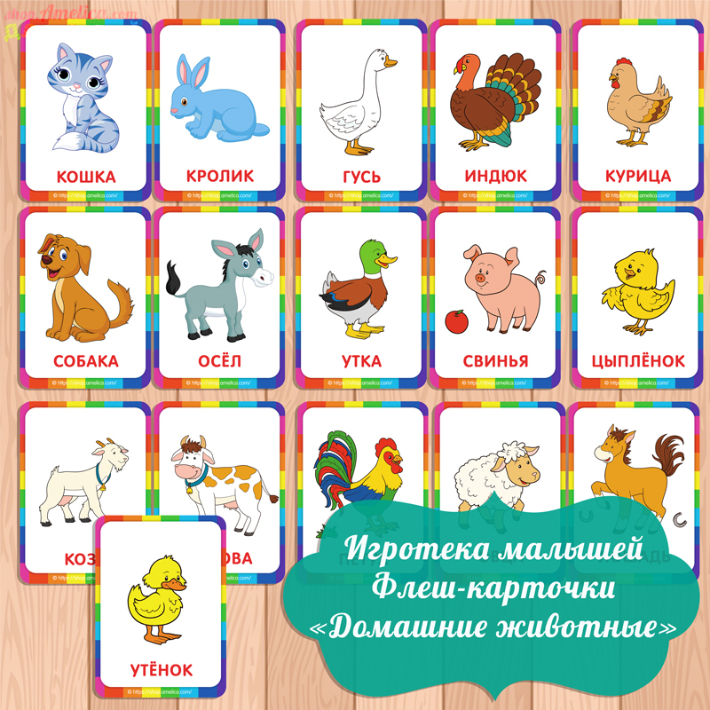 Домашние животные картинки для детей, развивающие карточки с животными скачать и распечатать