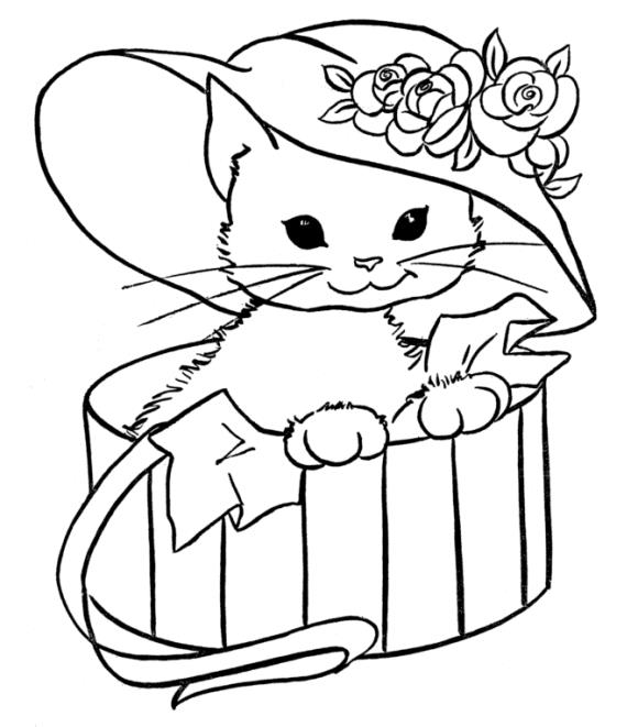 Раскраска котик в коробке