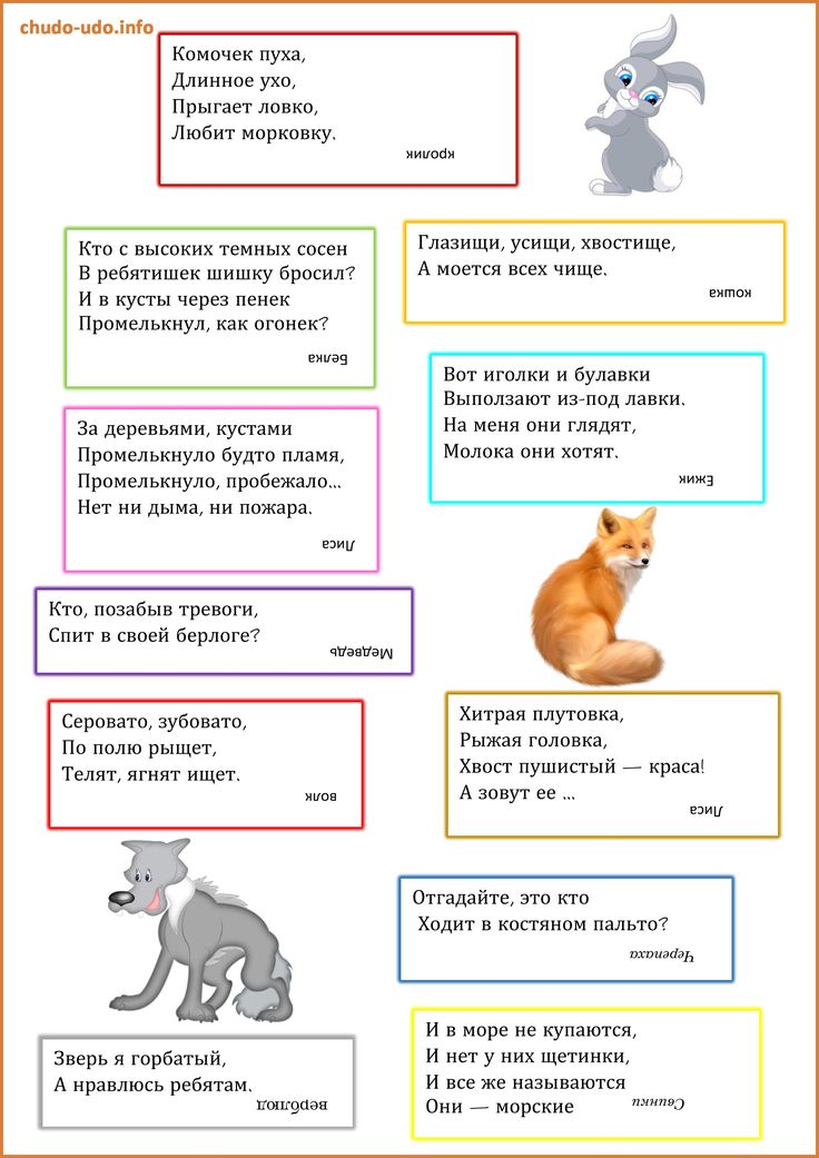 Загадки для 1 класса с ответами