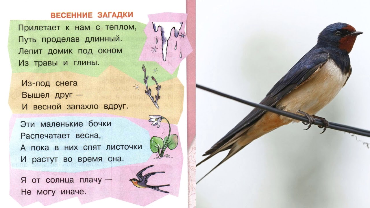 Загадки о весне с ответами